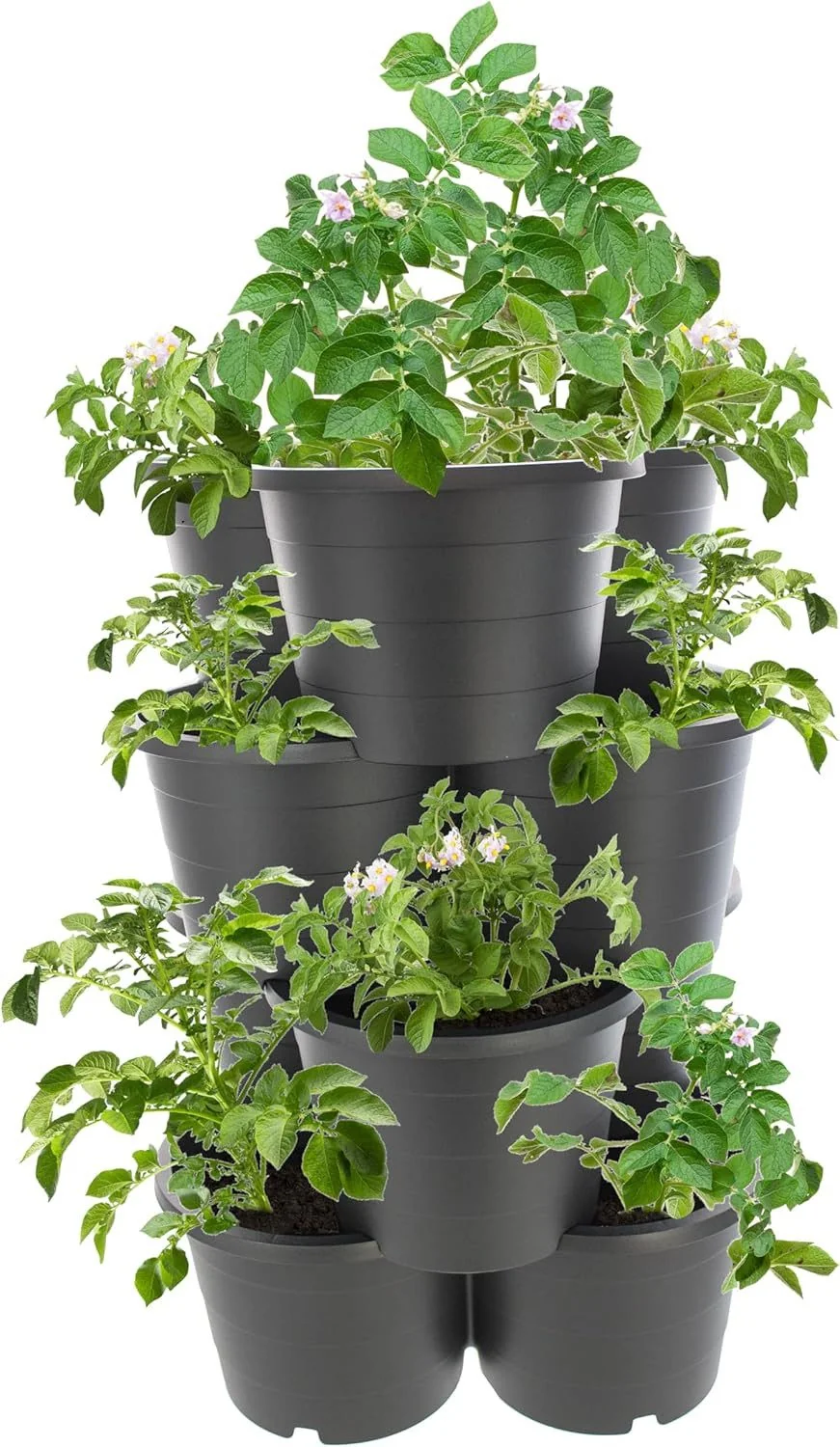 CENTI Pflanzturm 4 Etagen anthrazit Kartoffelturm Pflanzkübel Garten